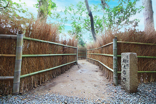 墓苑の入口は竹林の小径